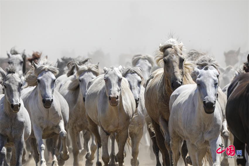 2024年天天彩免费资料,生物与医药_实验版9.612