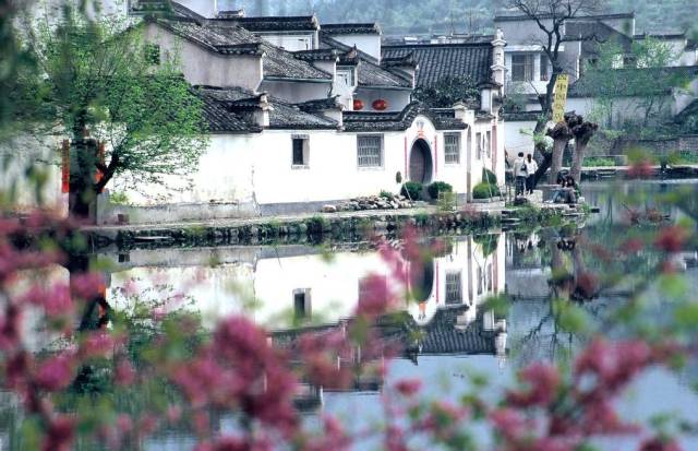 安徽浙江最新动态,小巷深处的独特风情