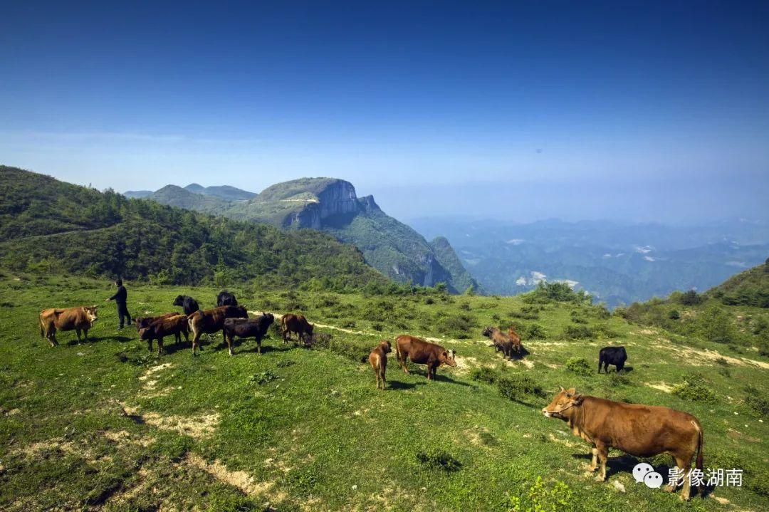云顶之羿装备图更新,时代印记与领域革新的融合