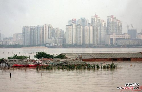 江西南昌洪水最新动态更新