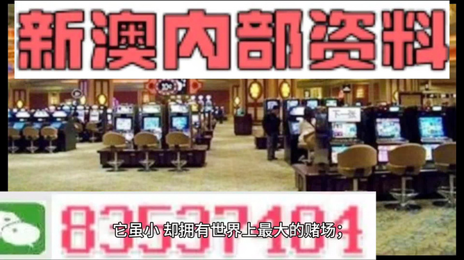 2024新澳精准正版资料,全方位数据解析表述_创意版9.265