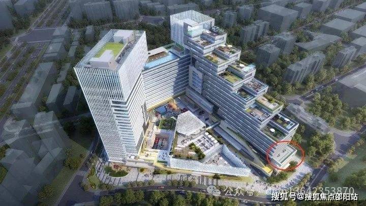 2024新澳门6合彩官方网,实证分析详细枕_仿真版9.395