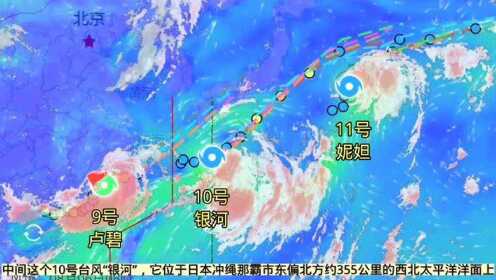 巷弄深处的特色小店与九号台风的奇遇报告