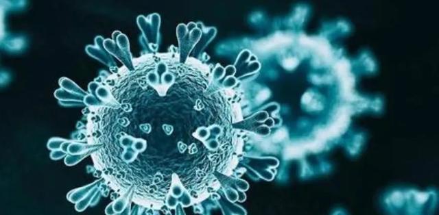 云南病毒肺炎最新情况详解与指南