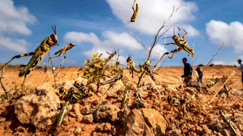 LED显示屏厂家 第471页