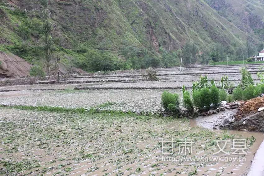 文县灾情最新消息及小巷风情小店揭秘