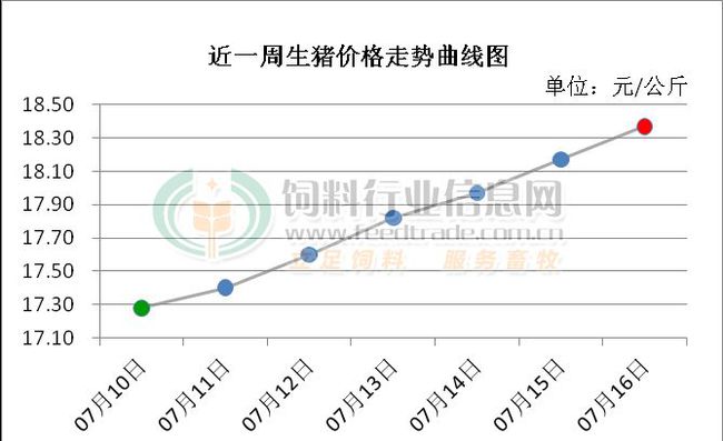 生猪最新猪价走势分析与预测