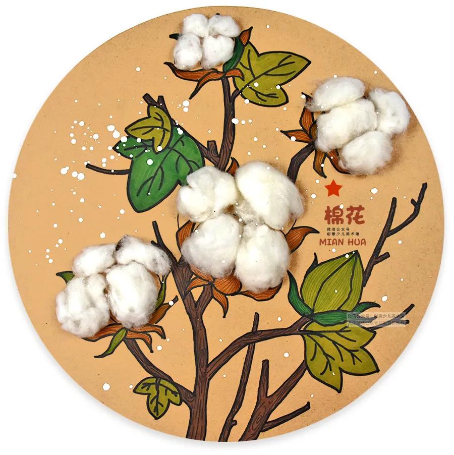 新疆棉花最新事件聚焦产业动态,探寻发展脉络