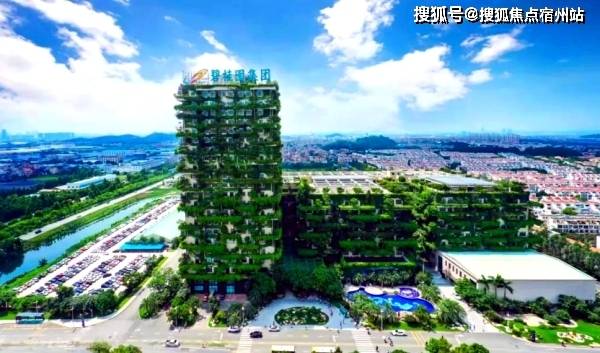 成都碧桂园最新楼盘,成都碧桂园最新楼盘的日常趣事