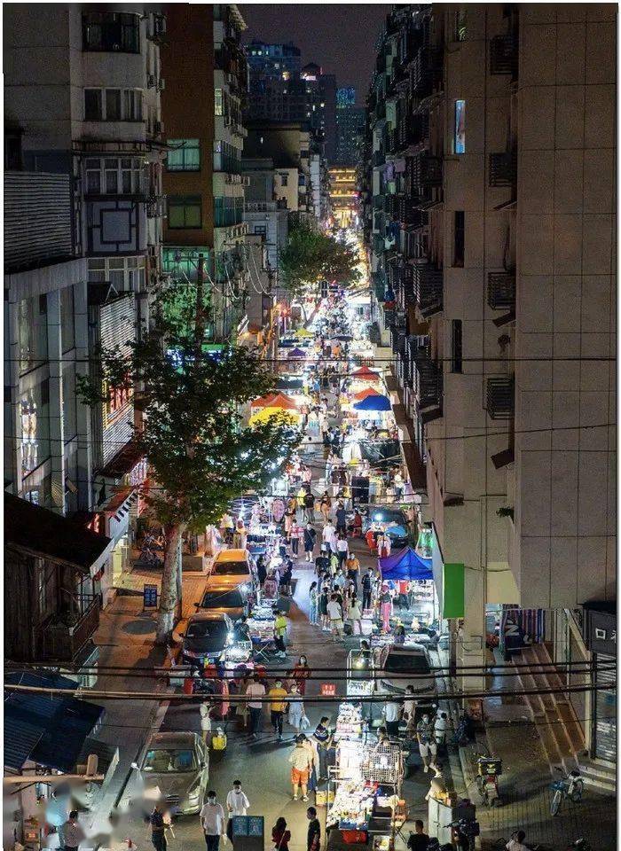 毛囊最新进展,毛囊最新进展,小巷中的秘密宝藏