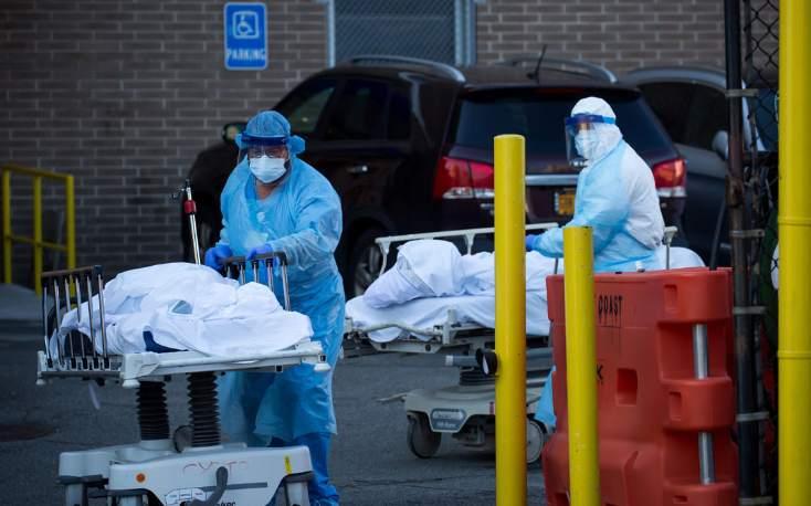 最新全球新冠病例报告,自然美景下的全球抗疫之旅