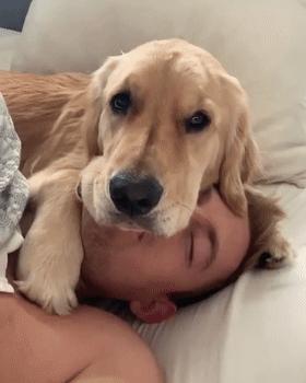 他就是那家伙最新全面解读，独家剖析，不容错过！