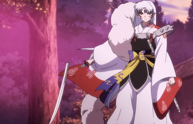 半妖的夜叉姬最新情报与动态