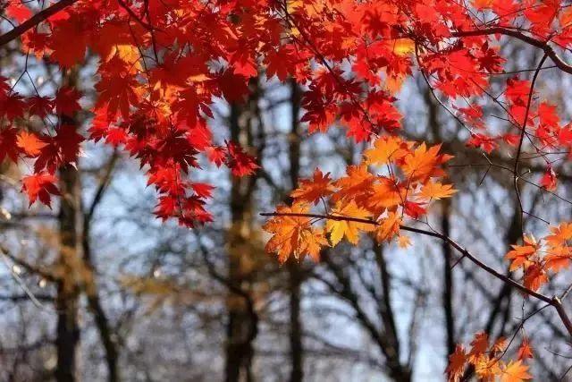 呼市最新呼和浩特市,自然美景探索之旅