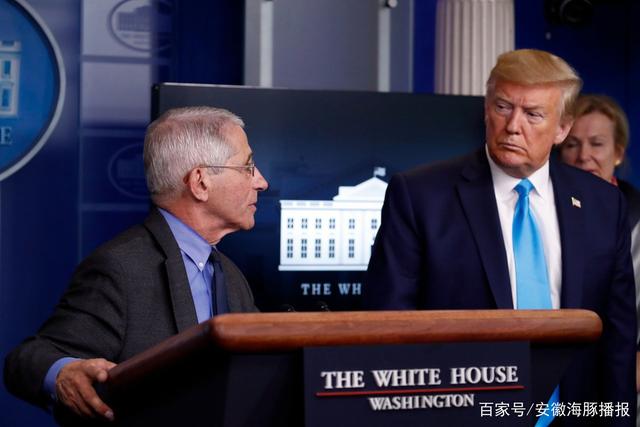 特朗普访华之旅,小巷深处的独特风情体验