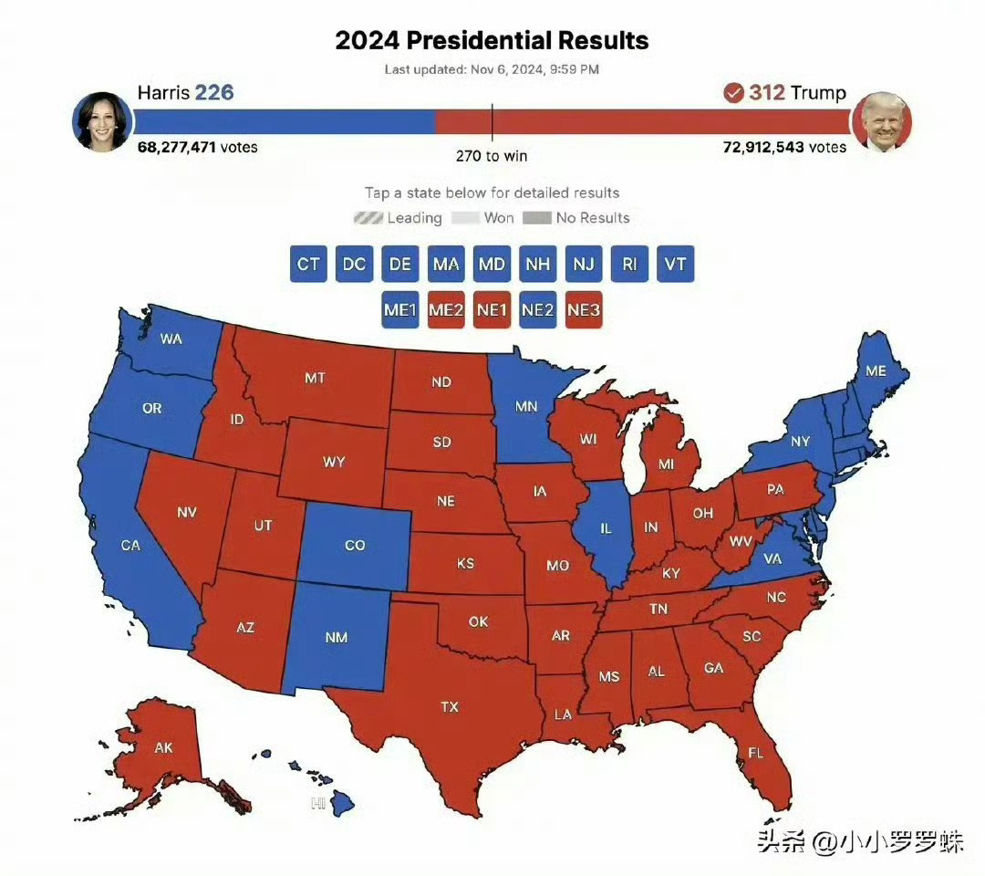 美国大选最新结果及其影响深度解析