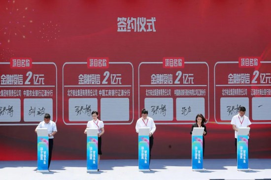 2024澳门六开彩免费精准大全,创新策略设计_教育版31.788