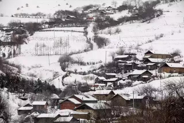 山东鲁能最新积分排名，自然美景背后的探索之旅