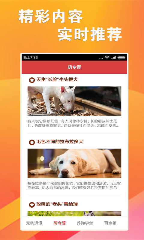 7777788888精准跑狗图正版,实效设计策略_Plus52.172