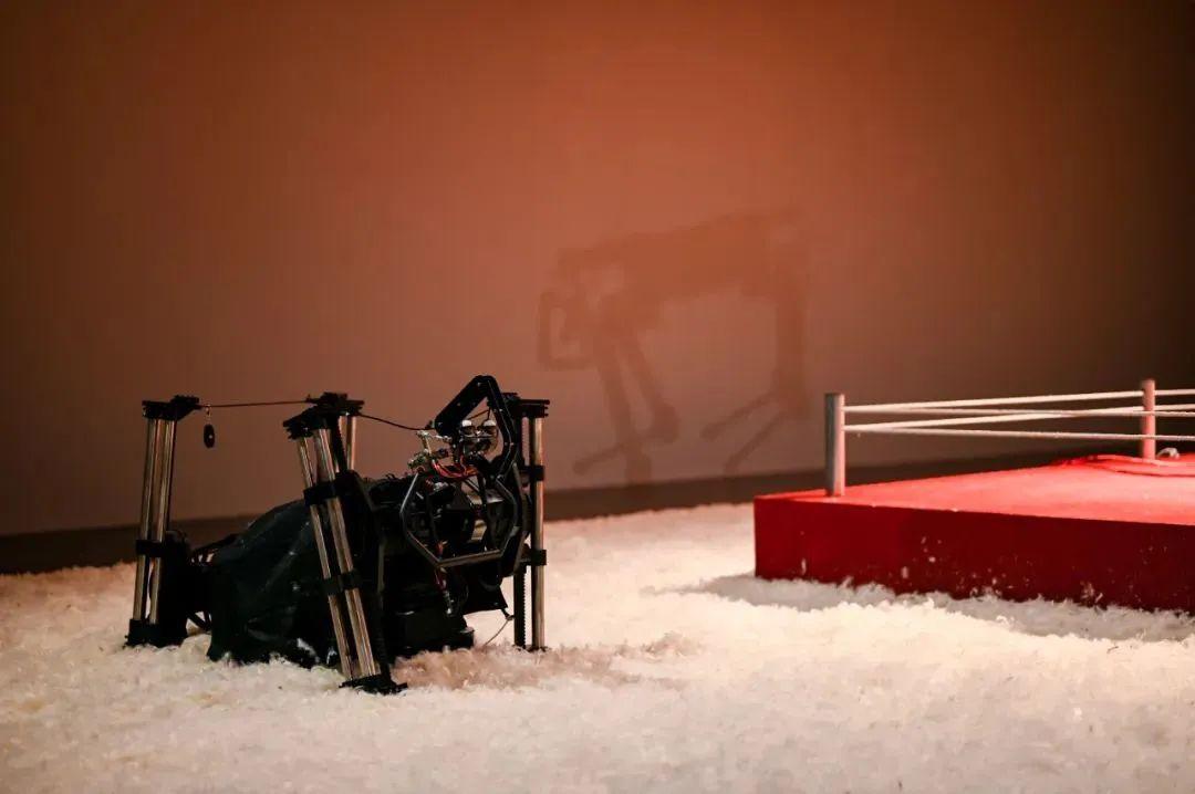 坪山美术馆最新动态,多元融合与创新发展的观点探析