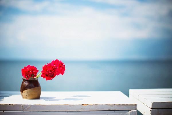 最新热门话题,爱似尘埃心向水,内心平静之旅的探寻