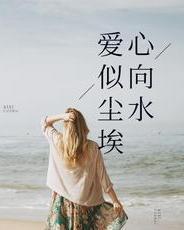 最新热门话题,爱似尘埃心向水,内心平静之旅的探寻