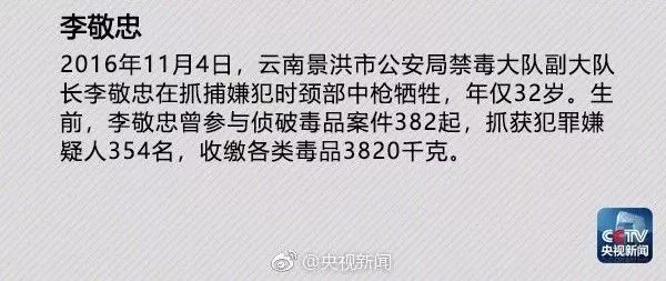 涉毒明星应对与处理指南，详细步骤与策略分析