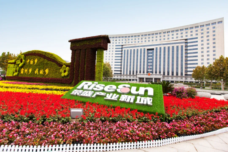 衡水房产资讯,砥砺前行,探寻自我,与变化共舞房产海洋