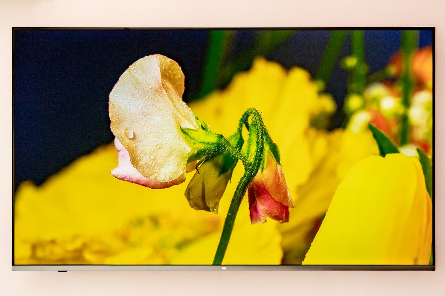 电视与爱奇艺的完美结合,轻松享受在线视频体验