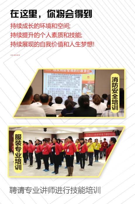 镇平最新职位招聘，变化与学习的力量，开启职业成长之旅