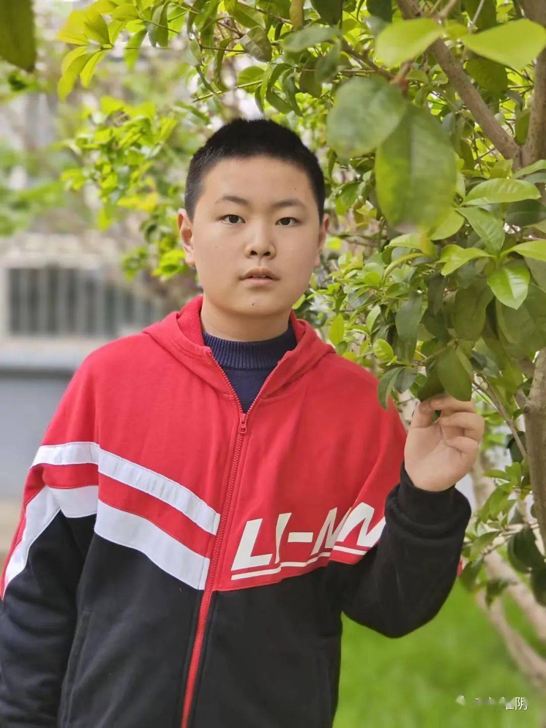 18岁少年风采展示的步骤指南与风采展示技巧