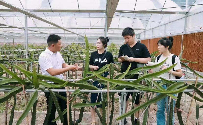 隆回最新新闻及获取最新资讯技能指南