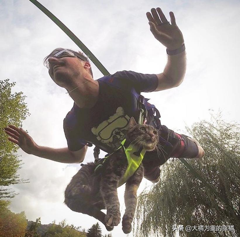 雷米新作,自然美景的奇妙遨游,探寻内心宁静之地