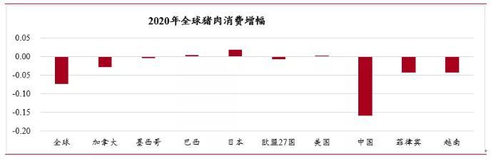 生猪期货最新动态及市场走势深度解析,专家观点与市场预测