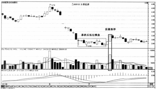 中储股份最新动态，心灵与自然的完美交融