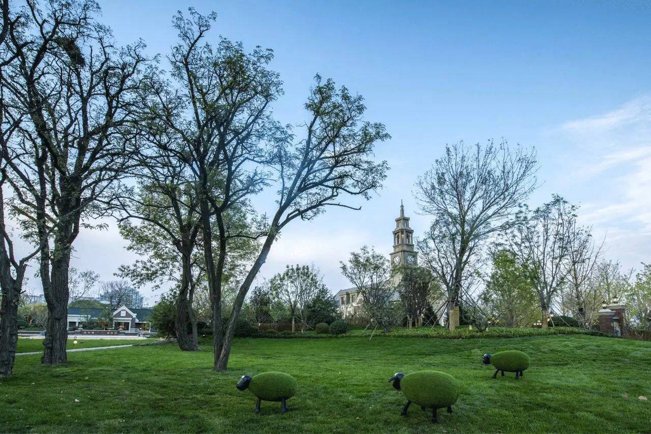 中储股份最新动态,心灵与自然的完美交融