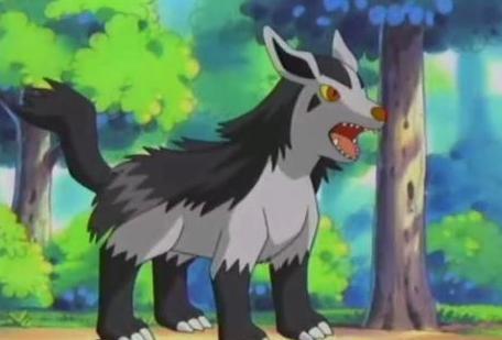 小狗动漫,小狗动漫，小巷中的宝藏，探索独特的动漫世界