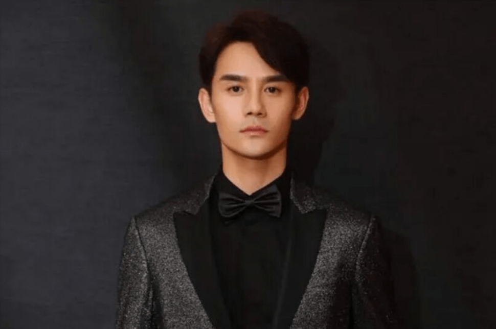 演员张野,演艺之路的闪耀之星