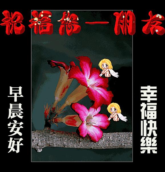 揭秘价格接受者的角色,深入了解其背后的故事🔍