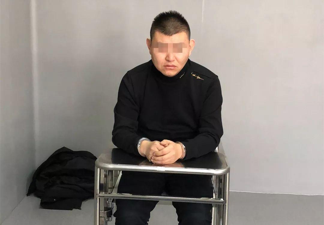 老妈乐全新智能产品上市，科技重塑家庭生活，上市时间揭晓