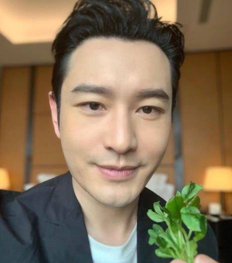 陆姓明星的成功秘诀,揭秘他们的励志之路与秘诀学习之道