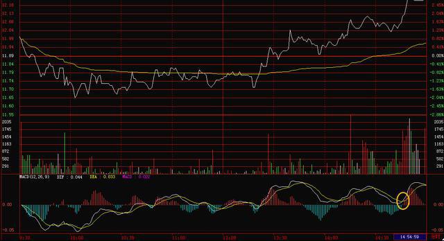 探寻内心平静之旅,股票行情600886与自然魔力的交织故事