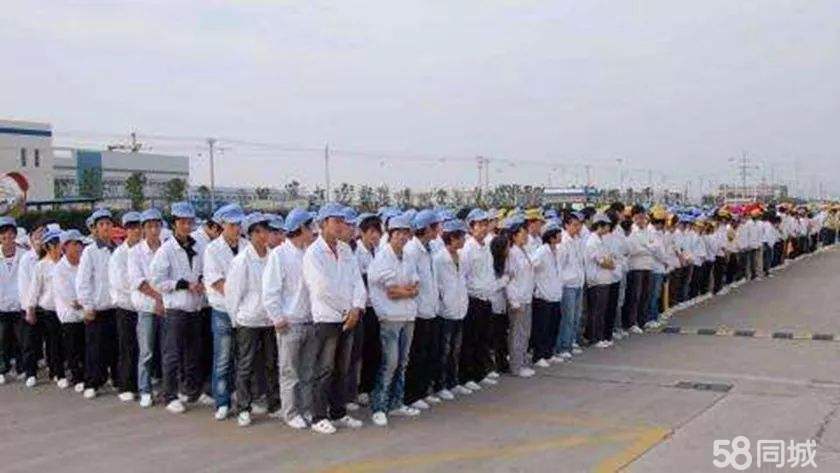 成都电子厂招聘最新招聘信息,全方位操作计划_大师版94.821