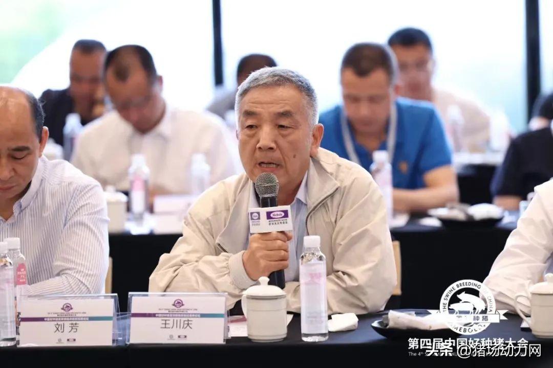 最新农业新闻,专业数据点明方法_便携版94.519