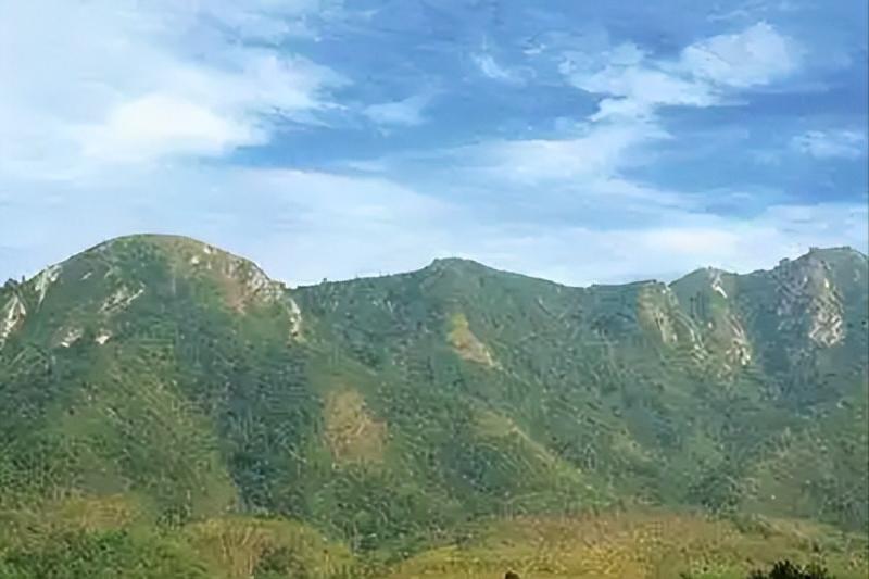 最新女士发型,实地研究解答协助_动感版94.652