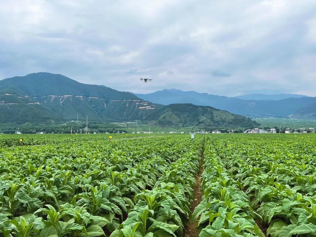 冕宁最新招聘动态，引领科技风潮，开启智能生活新篇章