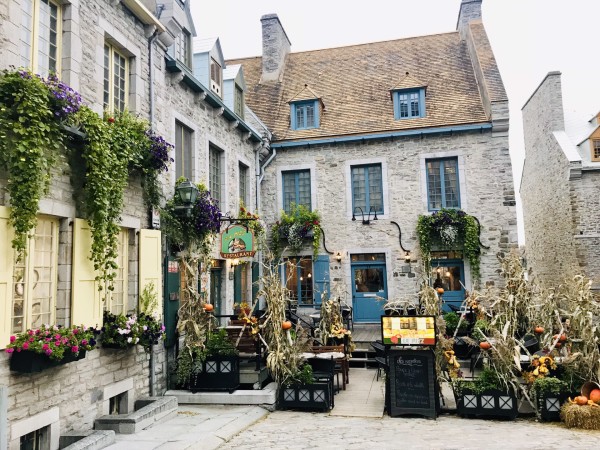 瑞普生物最新动态揭秘,小巷中的隐藏瑰宝