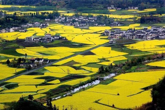 叶君临李子染最新章节,科技新品引领未来生活革新