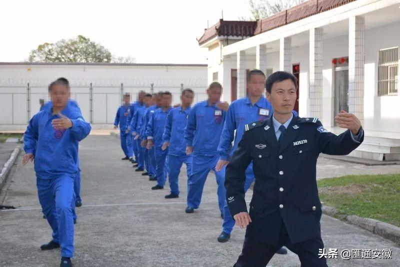 生命科学最新进展揭秘,科技重塑生命,前沿产品引领未来体验