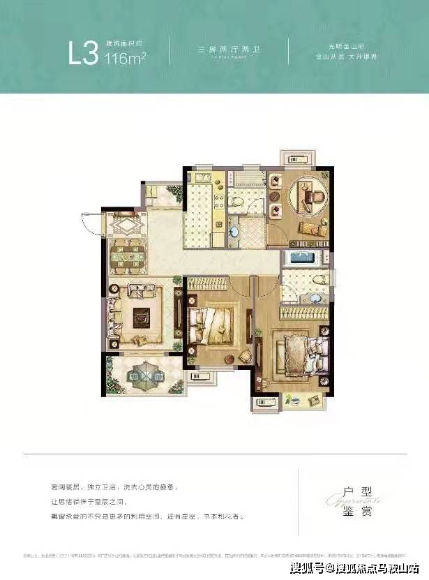 2024年澳门历史记录,科学解说指法律_精致生活版9.954